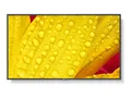 Produktbild: NEC MultiSync M651-2 - 165 cm (65