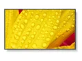 Produktbild: NEC M651-2 65IN UHD 500CD/QM