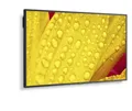 Produktbild: NEC MultiSync M651-2 Digital Signage Display 163,9 cm 65 Zoll