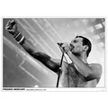 Produktbild: Queen Freddie Mercury - Wembley Arena, London 1984 None Poster multicolor