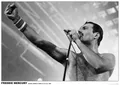 Produktbild: Close Up Poster Queen Poster Freddie Mercury 84 x 59,5 cm