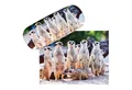 Produktbild: von Lilienfeld Brillenetui Erdmännchen Surikate Meerkatzen Brillenputztuch, Stabiles Hardcase Set mit Stoff bezogen