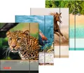 Produktbild: BRUNNEN Schulheft Brunnen Sammelmappe A4 Tiere mit Gummizug sortiert