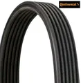 Produktbild: Continental CTAM 6DPK1697 Keilrippenriemen Keilriemen für BMW