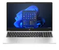 Produktbild: HP 250 G10, Silber, 15,6 Zoll, Full-HD, Intel N100, 8 GB, 256 GB #12609536