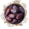 Produktbild: Sunnah Shop® Premium Jumbo Medjool Datteln 300g aus Palästina | Medjoul Datteln | Königsdatteln aus frischer Ernte - 100% natürliche Süße ohne Zuckerzusatz, vegane Süßigkeiten