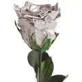 Produktbild: Kunstblume Ewige Rose konserviert mit Stiel echte haltbare Blume Rose, ROSEMARIE SCHULZ Heidelberg, Höhe 30 cm, Infinity Rose, Geschenk für Frauen, Valentinstag, Made in Germany silberfarben Ø 5 cm x 30 cm x 30 cm