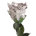Produktbild: Ewige Rose Silber mit Stängel - echte Rose 30-35cm haltbar 3 Jahre - konservierte Rose die eine Ewigkeit blüht für 25 Jahre Jubiläum Geschenke zur Silberhochzeit silberne Tischdeko (Silber)