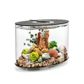 Produktbild: biOrb LOOP 15 LED Aquarium, 15 Liter - Acryl-Aquarium, Komplettset inklusive Lichteinheit und patentiertem Filtersystem, 360 Grad-Modell
