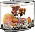 Produktbild: OASE biOrb 86425 biOrb LOOP 15 LED schwarz Aquarium EEK: G (A - G) 15l mit LED-Beleuchtung