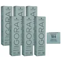 Produktbild: Schwarzkopf Igora Royal Highlifts 6 x 60 ml 10-0 ultrablond natur Set