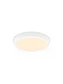 Produktbild: Philips MAGNEOS SF DL252 RD 284 20W 27K WH 06