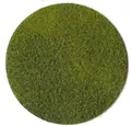 Produktbild: Heki 3364 Grasfaser hellgrün, 50 g, 2-3 mm
