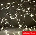 Produktbild: (2,92€/m) Silberdraht 40 LED Drahtlichterkette Lichterkette 6H Timer Batterie