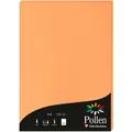 Produktbild: Pollen Papier (120 g/m², A4) (4208C)