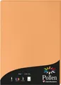Produktbild: Clairefontaine Pollen Papier Clementine 120g/m² DIN-A4 50 Blatt
