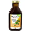 Produktbild: Salus Magnesium Mineral-Drink 250 ml