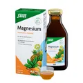 Produktbild: Salus® Magnesium Mineral-Drink