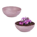 Produktbild: matches21 HOME & HOBBY Wetterfeste Pflanzschalen 2 STK. alt-rosa Vintage Blumen-Schalen 20 x 7,5 cm für draußen