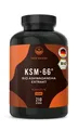 Produktbild: TRUE NATURE® Bio Ashwagandha Extrakt Kapseln (KSM-66®) - Premium Markenrohstoff