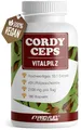 Produktbild: Cordyceps Kapseln 180x - 2100 mg Vitalpilz-Extrakt aus Cordyceps sinensis - hochwertiges 10:1-Extrakt mit 40% bioaktiven Polysacchariden (840 mg pro Tag) - Vorrat für 60 Tage