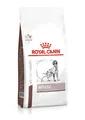 Produktbild: 3182550947466 ROYAL CANIN Dog Hepatic VHN - trockenfutter für Hunde - 7kg Royal
