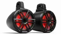 Produktbild: Rockford Fosgate Marine M2WL-10HB 25cm 10