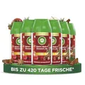 Produktbild: Air Wick Freshmatic Max Nachfüller Baked Apple & Cinnamon Joy 6x250ml