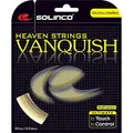 Produktbild: Solinco Vanquish 16 g 1,30 mm Tennissaiten – 2 Packungen