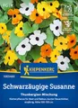 Produktbild: Kiepenkerl Schwarzäugige Susanne-Samen Thunbergien Mischung 1065460 - Kletterpflanze - Dauerblüher - bunte Blüten - einjährig - Saatgut, Pflanzen, Blumensamen