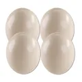 Produktbild: 4er Set Straussenei XXL ausgeblasen natur 13-15 cm Afrika Riesenei Vogel Strauß