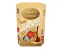 Produktbild: LINDT Schokolade, Lindt Lindor Cornet Mischung mit zartschmelzenden Füllungen 500g