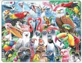 Produktbild: Jolly Birds of the World Maxi-Puzzle