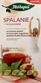 Produktbild: Herbapol für Verbrennung und Reinigung (Spalanie + Oczcszczanie), Nahrungsergänzungsmittel. Pu-Erh Tee mit grünem Tee und Kräutern. Nettogewicht 40 g (20 Beutel x 2 g)