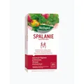 Produktbild: 5900956003153 Herbapol Herbata Funkcjonalna Spalanie suplement diety 20TB x 2g H
