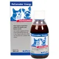 Produktbild: RECONVALES Energy Diät-Erg.Futterm.f.kl.Hund/Katze 180 ml