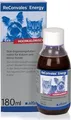 Produktbild: RECONVALES Energy Diät-Erg.Futterm.f.kl.Hund/Katze 180 ml
