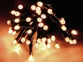 Produktbild: divers - Buiten Ledverlichting 40 Led - Warm White 300cm NEU