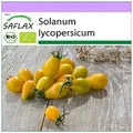 Produktbild: SAFLAX - BIO - Tomate - Yellow Submarine - 10 Samen - Solanum lycopersicum