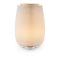 Produktbild: Beurer LA 45 Green Planet Aroma Diffuser Raumerfrischer LED 12 Watt