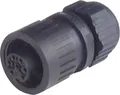 Produktbild: Hirschmann 934 125-100-1 934125100 Rundstecker Kupplung, gerade Gesamtpolzahl: 3 + PE Serie (Rundsteckverbinder): CA 1 St.