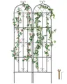 Produktbild: VEVOR 2er Set Rankhilfe Rankgitter Kletterhilfe Pflanzengitter Spalier 51x220cm