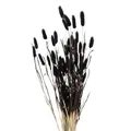 Produktbild: Boltze Home Deko-Zweige für Vase, getrocknet, 70 cm, Farbe:schwarz