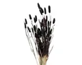 Produktbild: Kunstpflanze Deko-Zweige für Vase, getrocknet, 70 cm Zimmerpflanze, BOLTZE GRUPPE GmbH, Höhe 70 cm