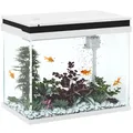Produktbild: 41 Liter Glas-Aquarium mit Filtersystem, LED-Lichtern, Wasserpumpe, Weiß