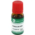 Produktbild: Arnica Arcana Lm 30 Dilution