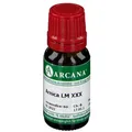 Produktbild: ARCANA® Arnica LM XXX