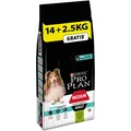 Produktbild: Pro Plan Dog Medium Adult, Sensitive Digestion, Reich an Lamm, Trockenfutter Beutel, 1er Pack (1 x 16,5 kg)