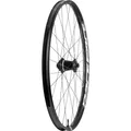 Produktbild: Race Face Turbine 30 ALU E-MTB CLN 6Bolt Wheel (29
