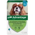Produktbild: Advantage 100 Lösung f.Hunde 4-10 kg 4 St